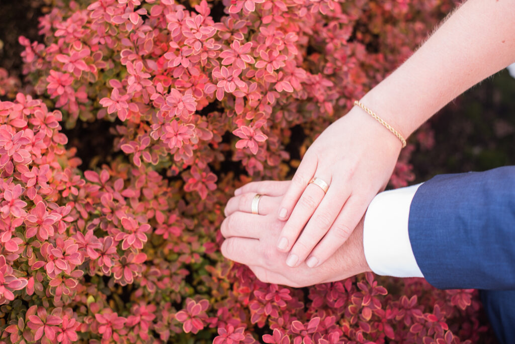 Die Braut und der Bräutigam, Hochzeitsfotograf, Professionelle Fotografie, Fotoshooting, Outdoor-Fotografie