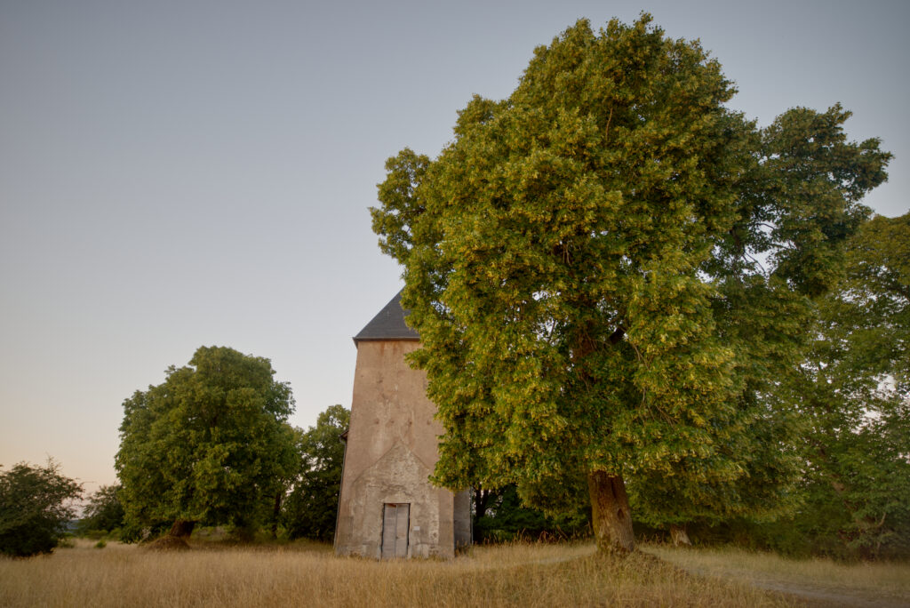 Historische St.-Rochus-Kirche in Wollseifen während des Sonnenuntergangs im Nationalpark Eifel
