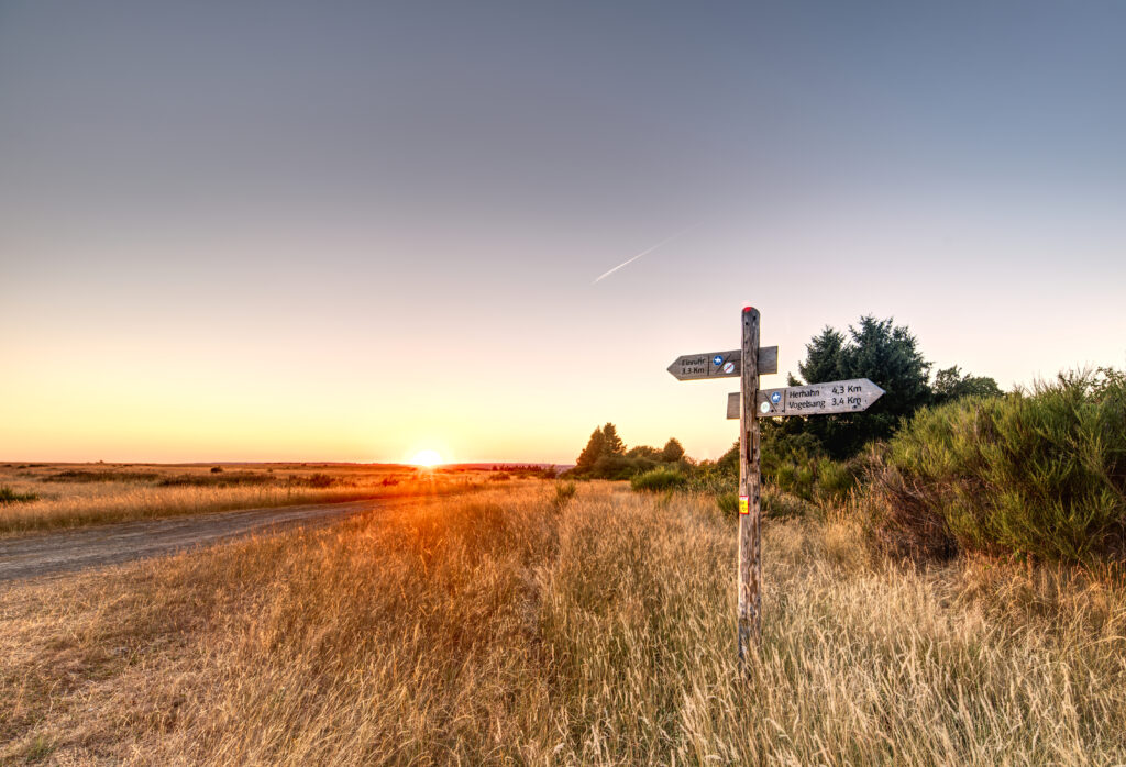 Wanderweg nach Wollseifen durch die Landschaft des Nationalparks Eifel